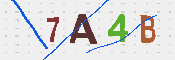 CAPTCHA Image